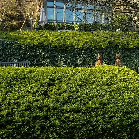 Otel Guesthouse Heidelberg Suites 5*